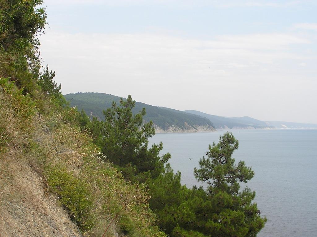 Виды с вершины горы - Бетта, г. Геленджик, официальный сайт поселка (хутора)